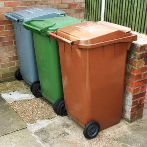 Wheelie Bin